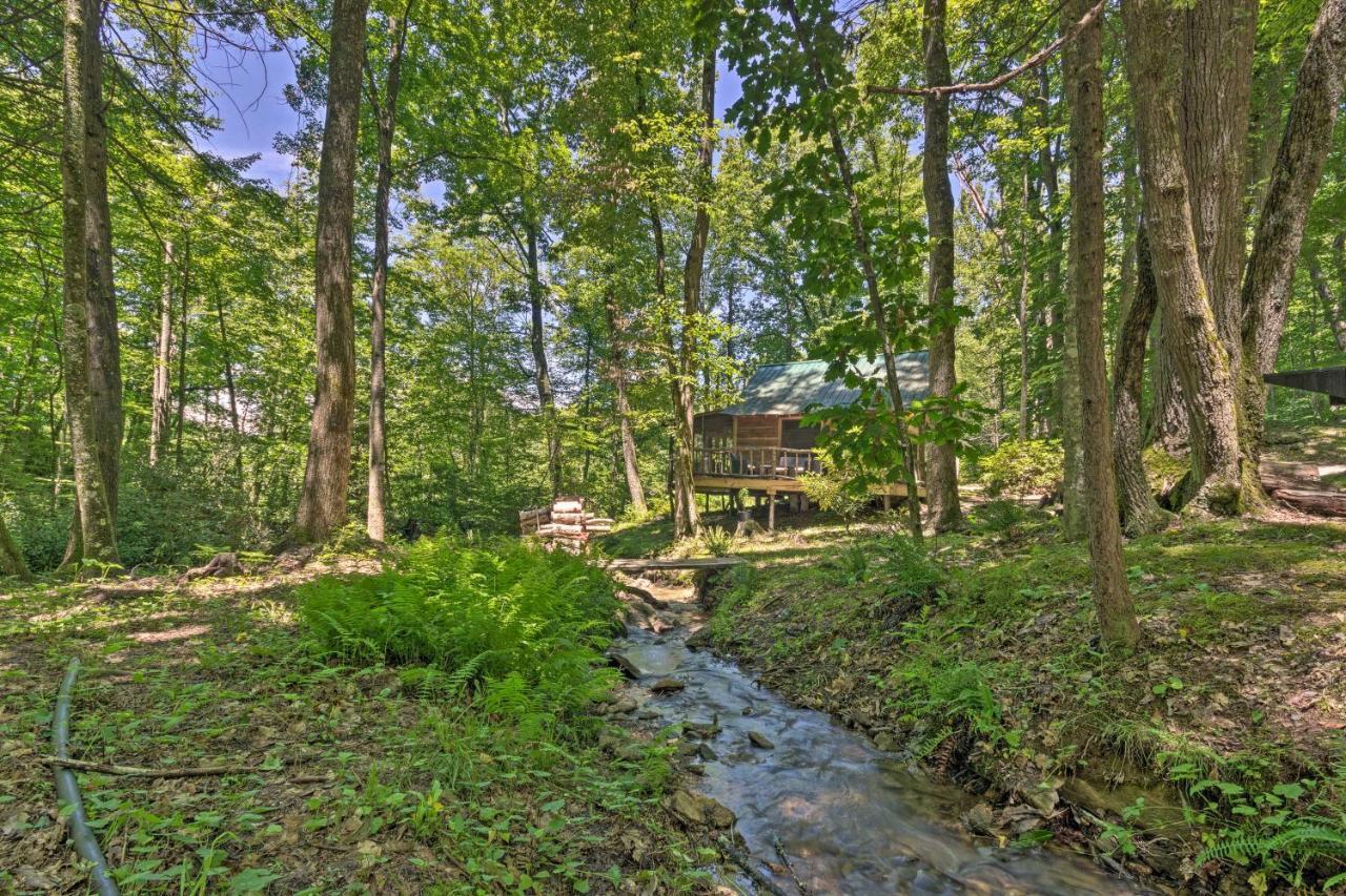 Creekside Cabin With Deck In Pisgah Forest! Barnardsville المظهر الخارجي الصورة