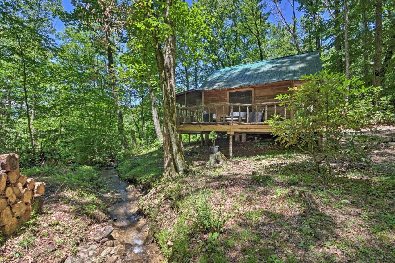Creekside Cabin With Deck In Pisgah Forest! Barnardsville المظهر الخارجي الصورة
