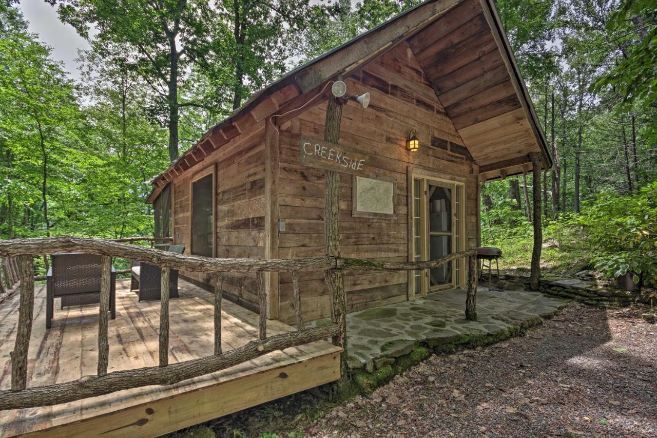Creekside Cabin With Deck In Pisgah Forest! Barnardsville المظهر الخارجي الصورة