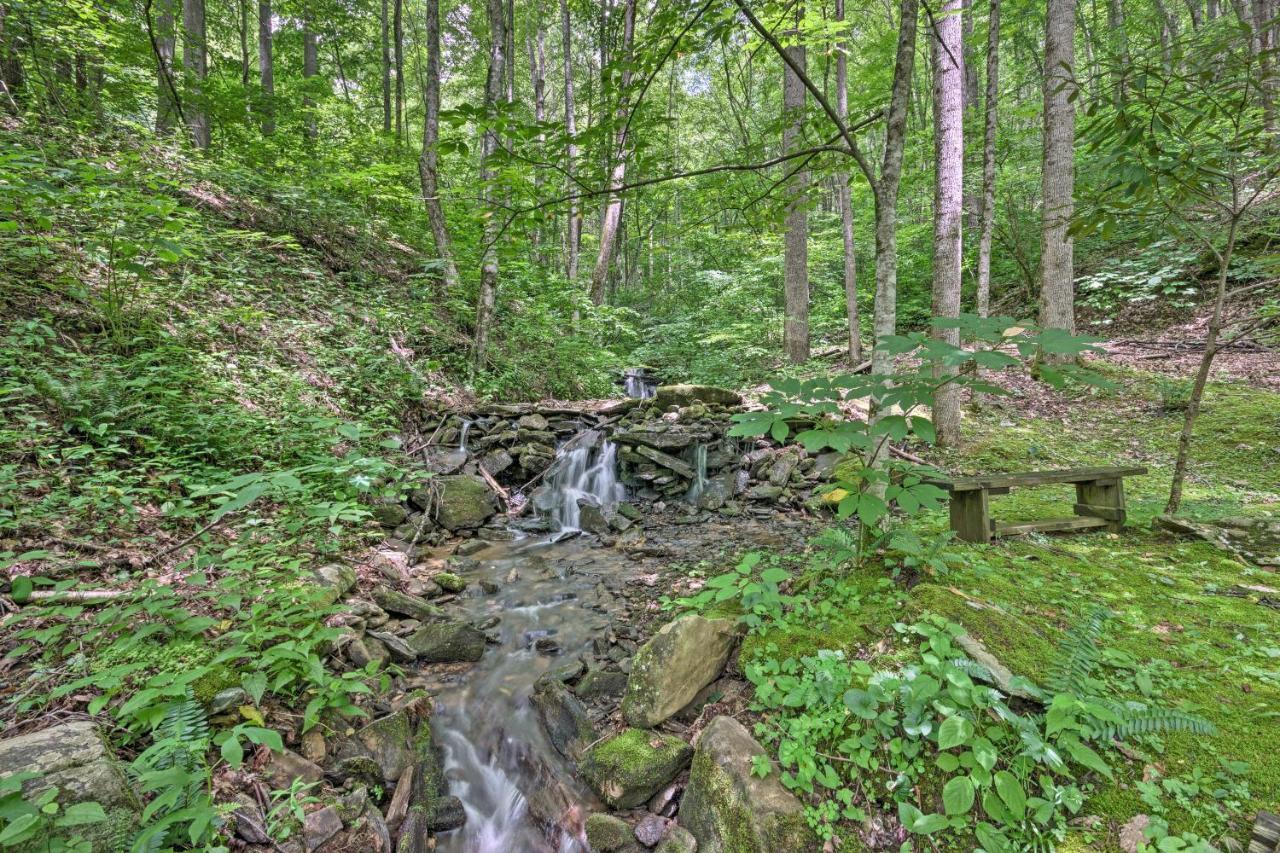 Creekside Cabin With Deck In Pisgah Forest! Barnardsville المظهر الخارجي الصورة